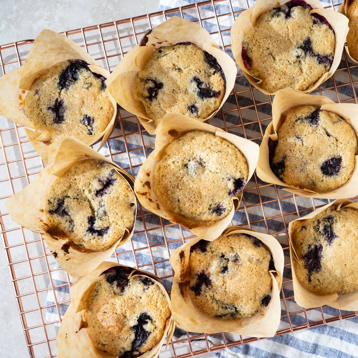 Blueberry Muffins