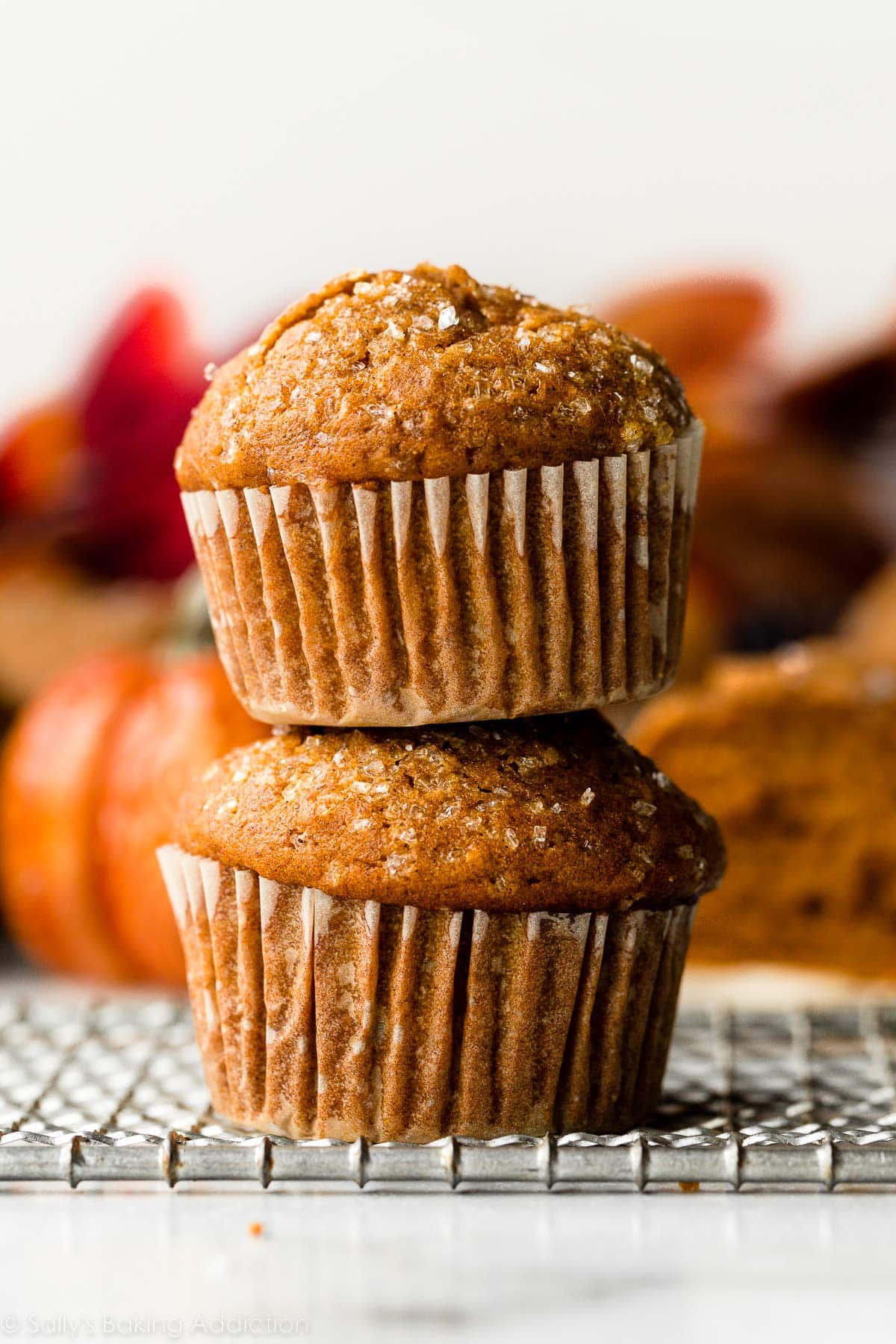 Pumpkin Muffins - SEASONAL